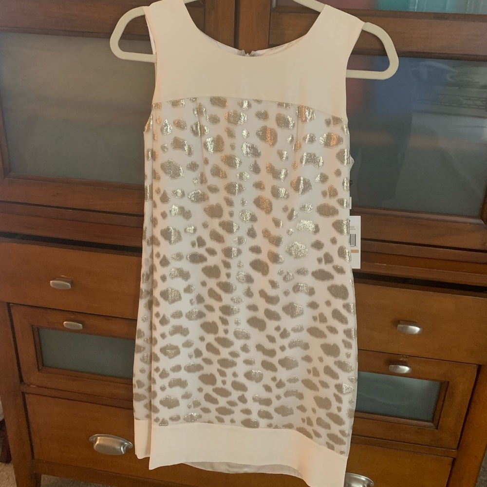 Elegant, dressy, and simple Calvin Klein sleeveless dress, size 2.